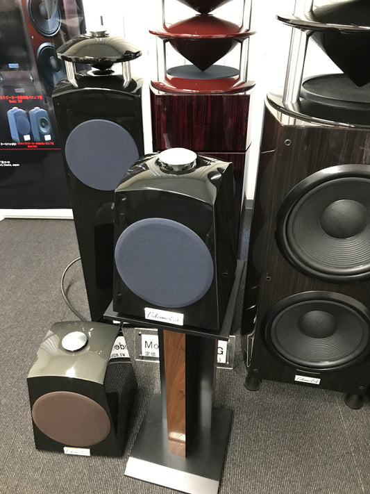 I went to the Tube Audio Fair.