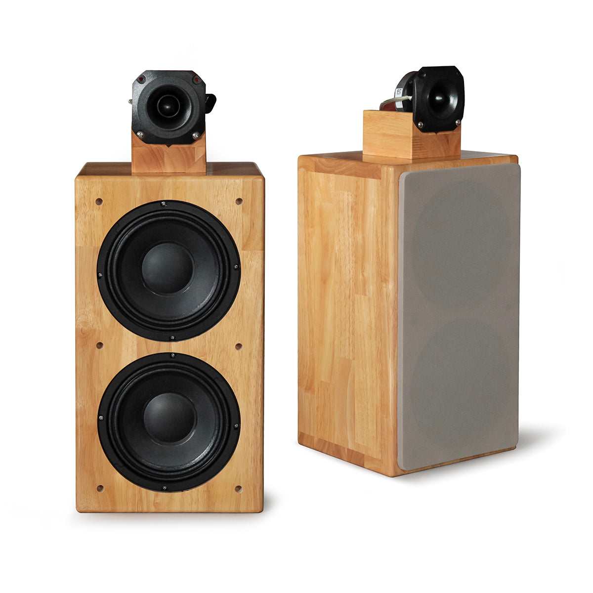 ASTOR Ensemble de haut-parleurs pour étagère SP-1602WST