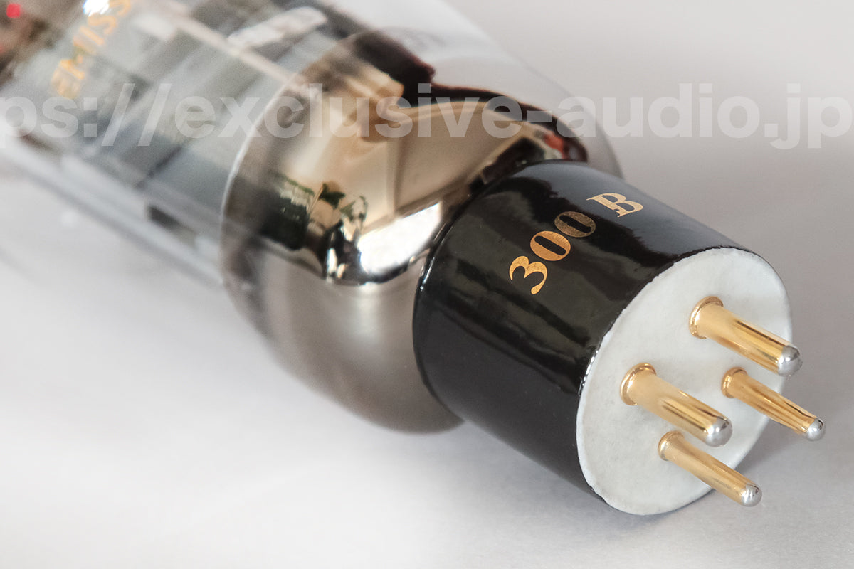 Emission LabsEML300B matched pair, a direct replacement for WE300B.