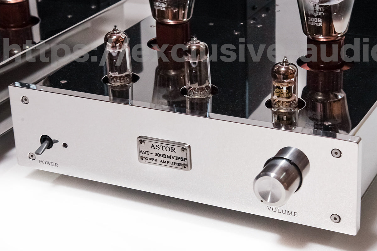 Astro Electronics Plan AST-300BMVIP/SP Monophonic Leistungsverstärker