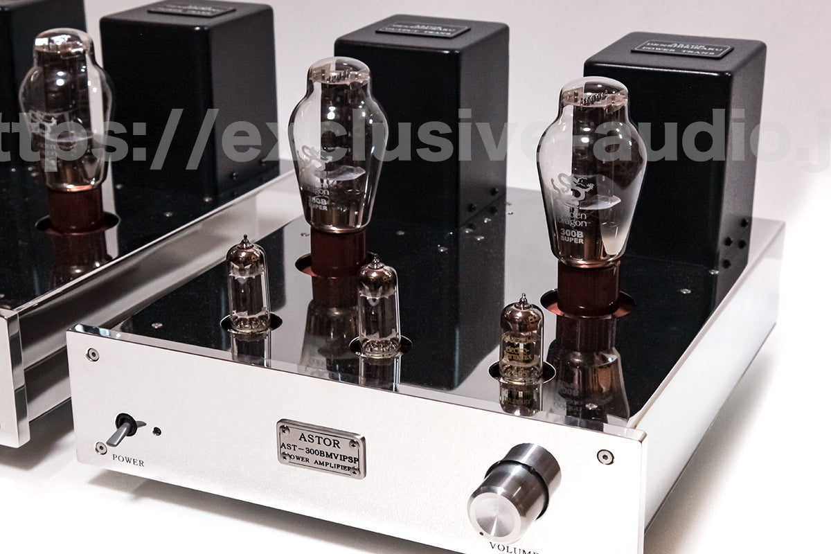 Astro Electronics Plan AST-300BMVIP/SP Monophonic Leistungsverstärker