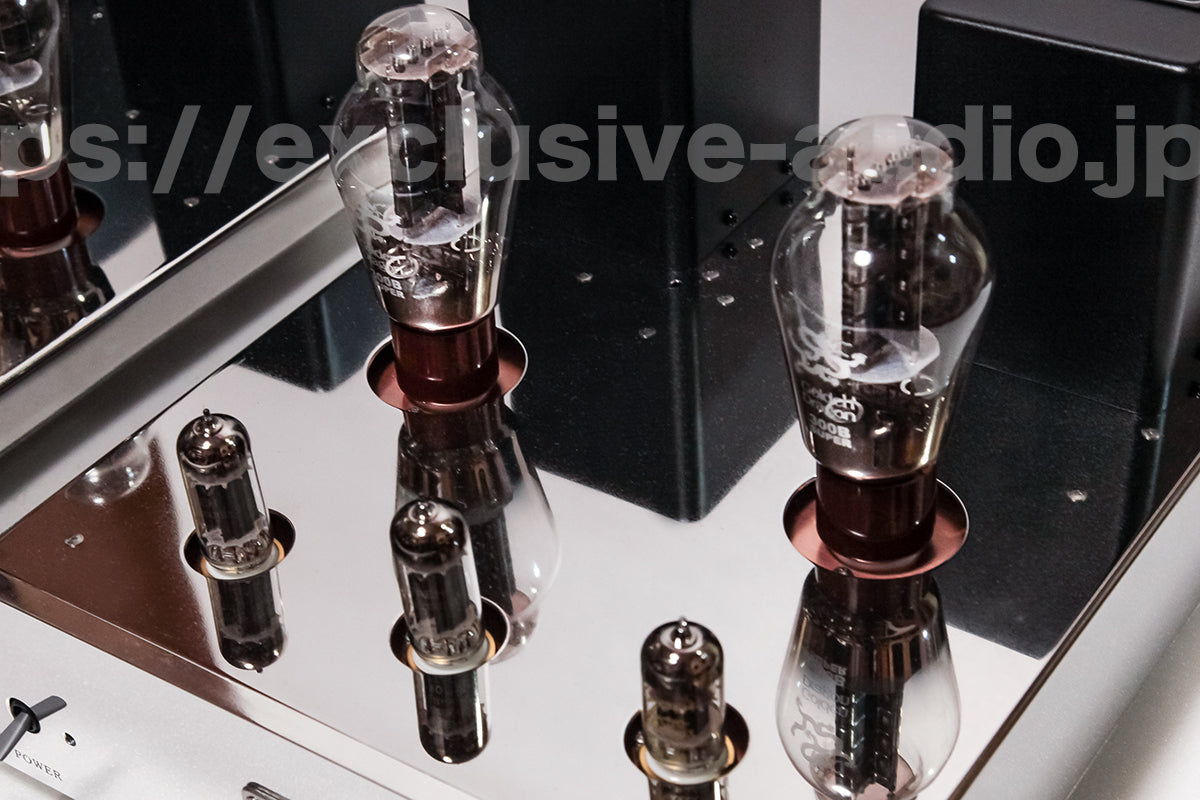 Astro Electronics Plan AST-300BMVIP/SP Monophonic Leistungsverstärker