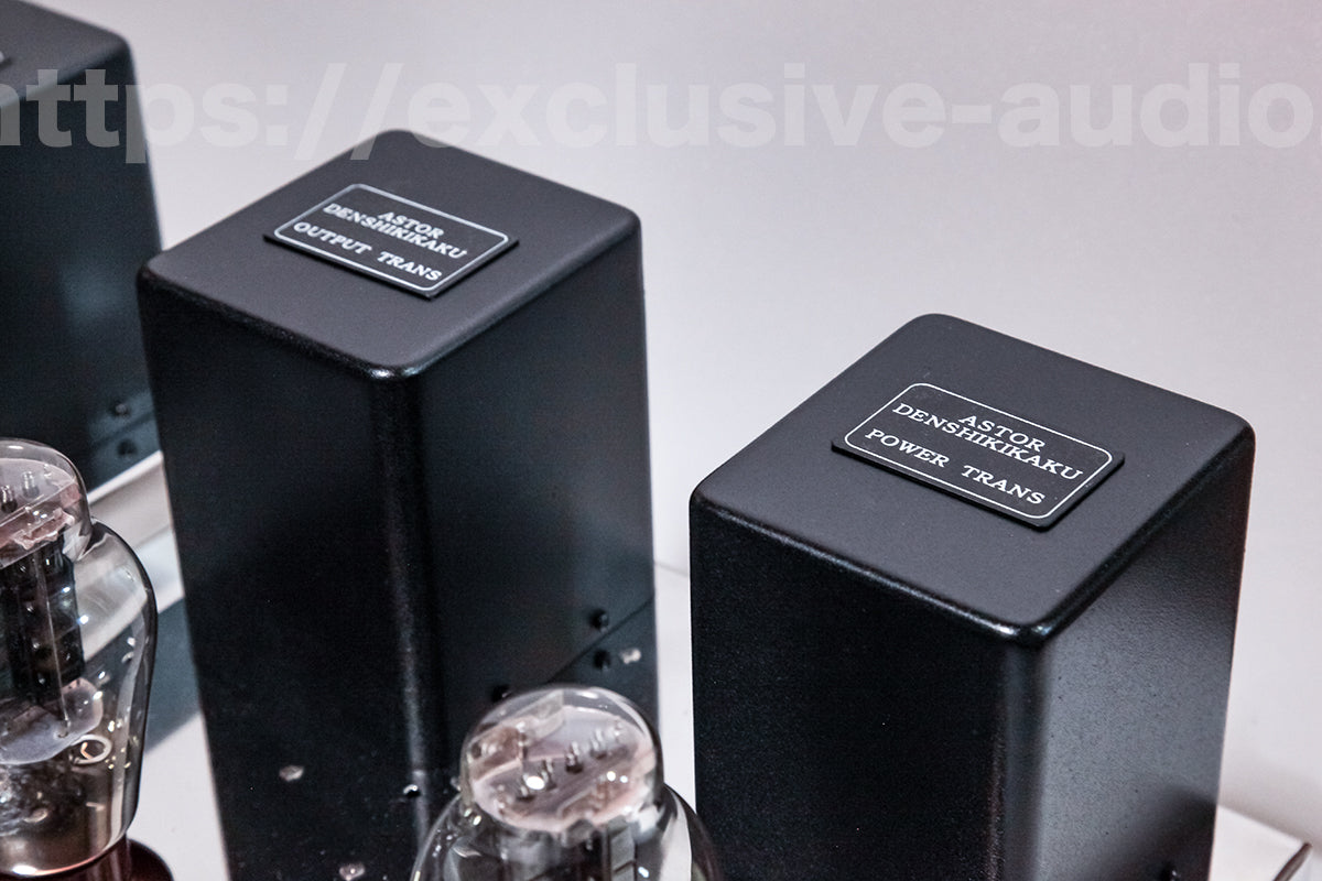 Astro Electronics Plan AST-300BMVIP/SP Monophonic Leistungsverstärker