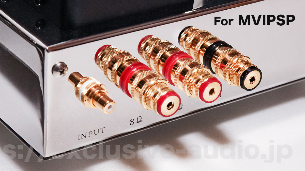 Astro Electronics Plan AST-300BMVIP/SP Monophonic Leistungsverstärker