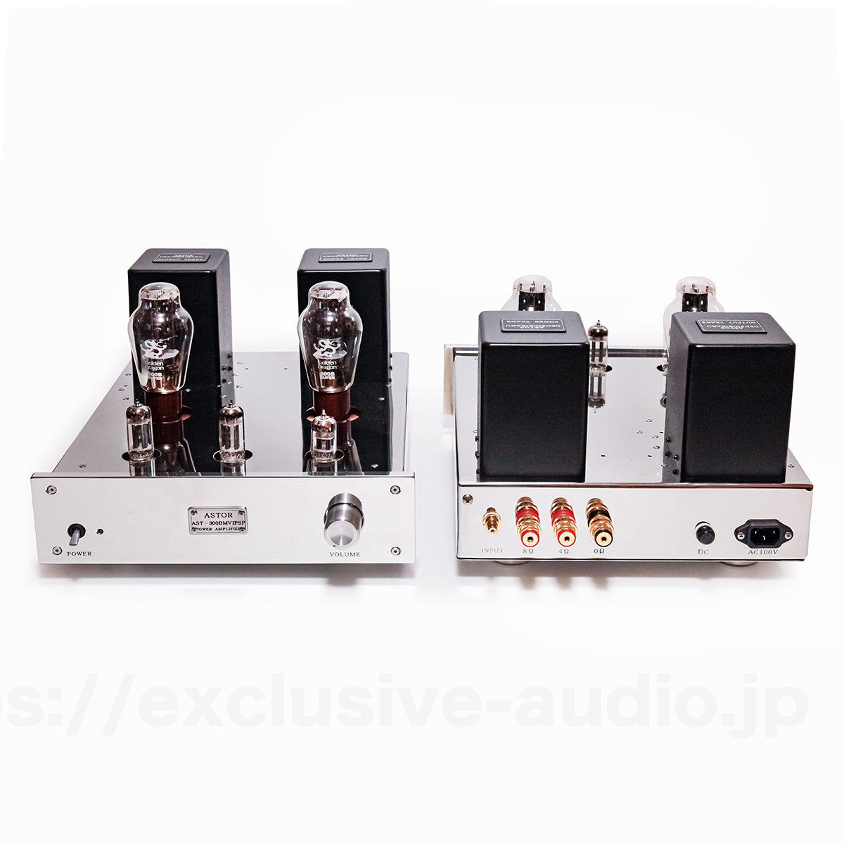 Astro Electronics Plan AST-300BMVIP/SP Monophonic Leistungsverstärker