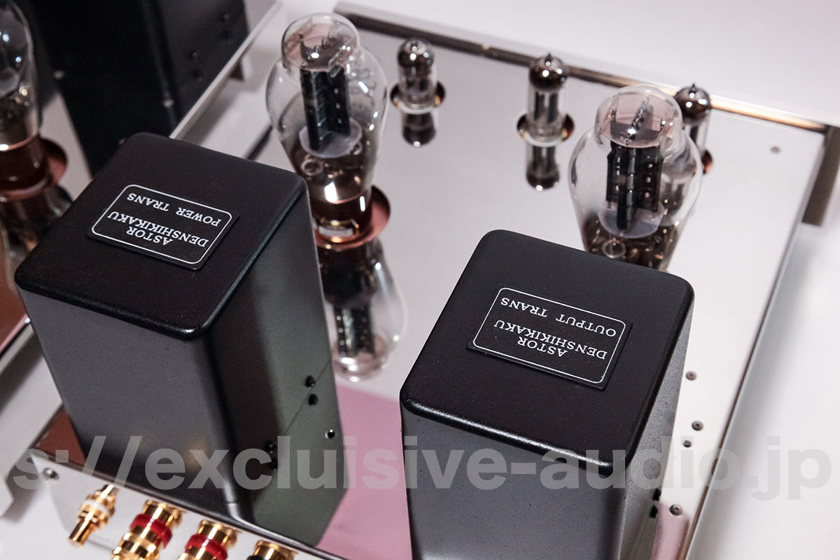 Astro Electronics Plan AST-300BMVIP/SP Monophonic Leistungsverstärker