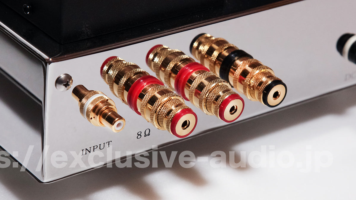Astro Elektronik Planung AST-KT88MVIPSP Monoblock-Leistungsverstärker