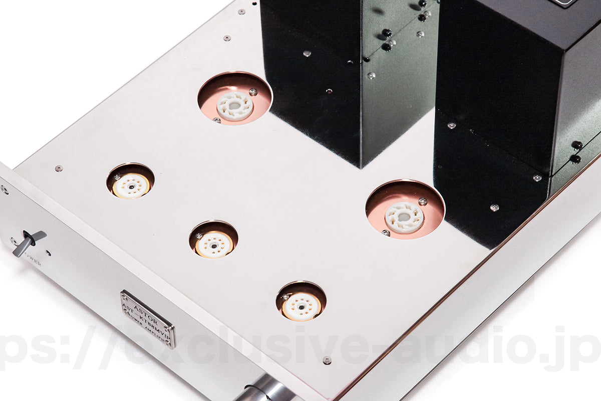 Astro Elektronik Planung AST-KT88MVIPSP Monoblock-Leistungsverstärker