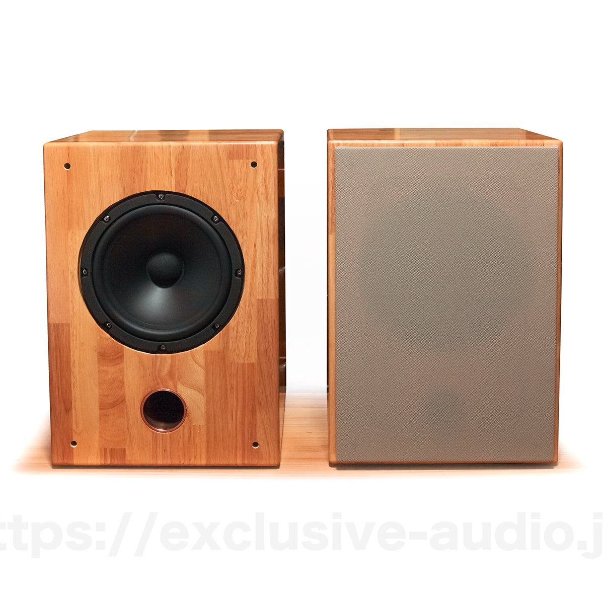 Astro Electronics Projekt ASTOR SP-2001WST Buchregal Lautsprecher 1 Paar