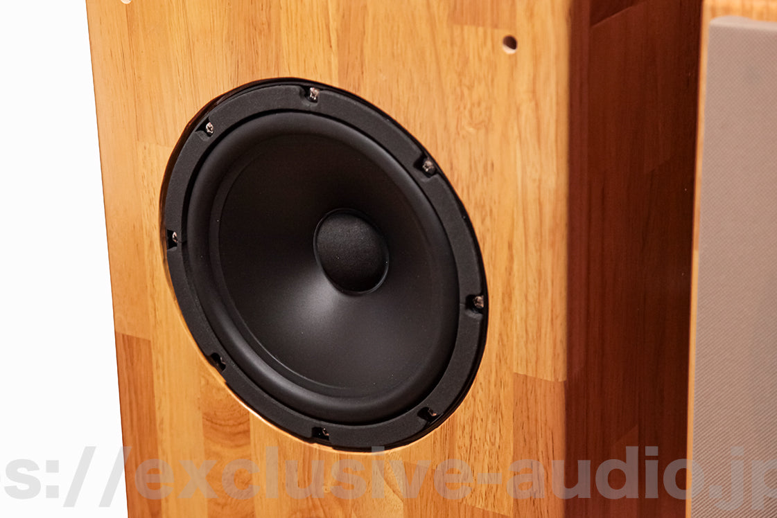 Astro Electronics Projekt ASTOR SP-2001WST Buchregal Lautsprecher 1 Paar
