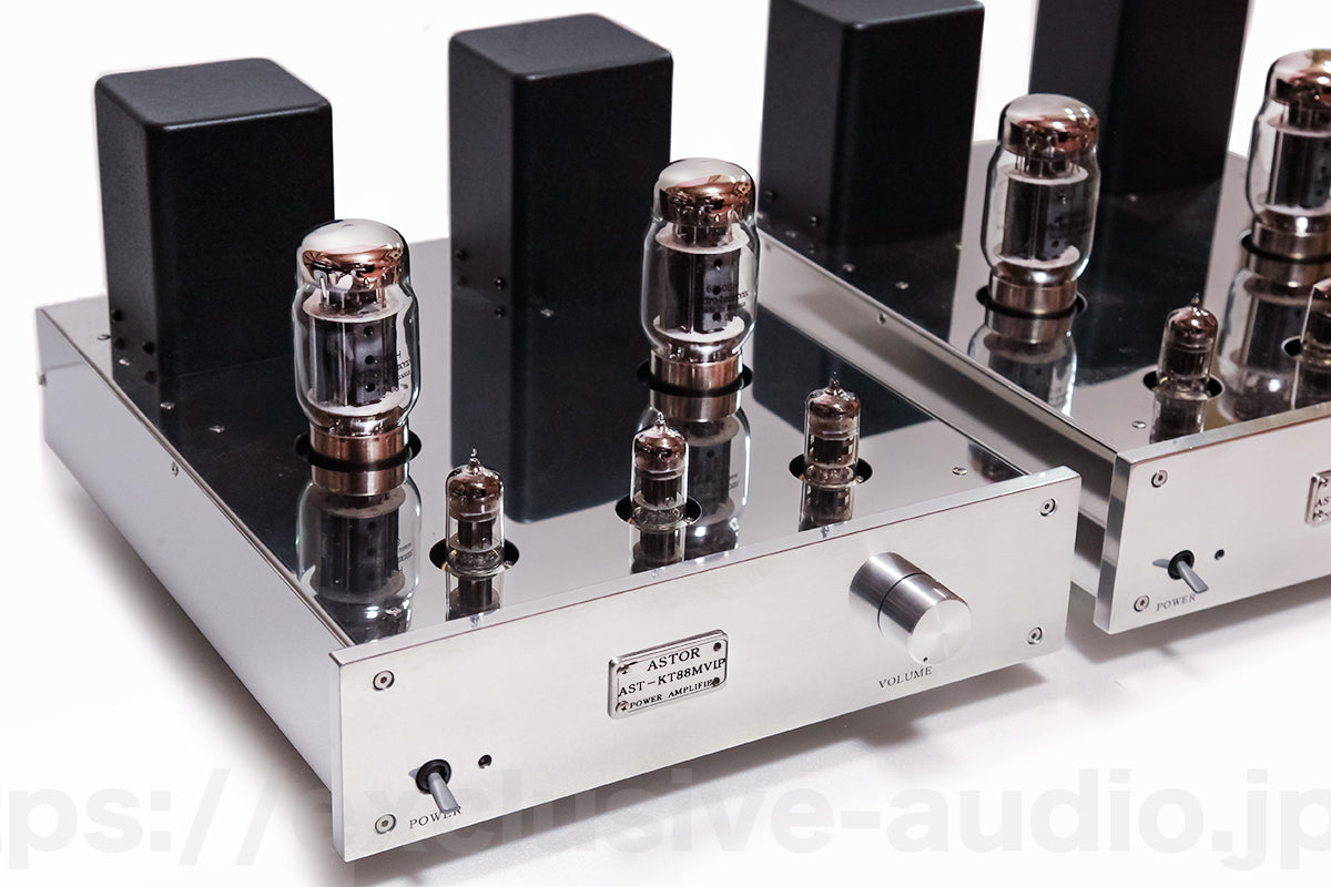 Astro Elektronik Planung AST-KT88MVIP Monoblock-Leistungsverstärker