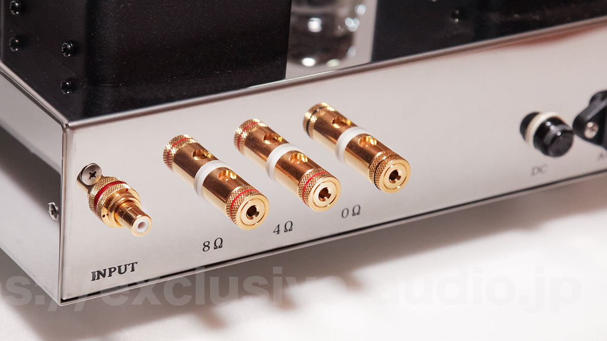 Astro Elektronik Planung AST-KT88MVIP Monoblock-Leistungsverstärker