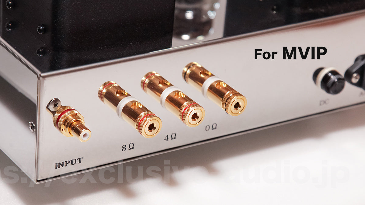 Astro Electronics Plan AST-300BMVIP/SP Monophonic Leistungsverstärker