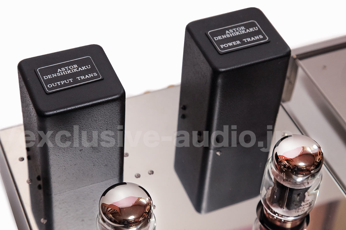 Astro Elektronik Planung AST-KT88MVIPSP Monoblock-Leistungsverstärker