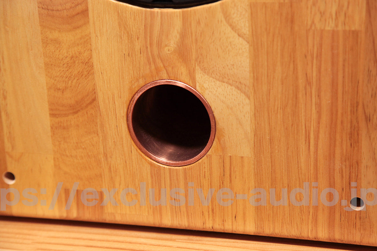 Astro Electronics Projekt ASTOR SP-2001WST Buchregal Lautsprecher 1 Paar