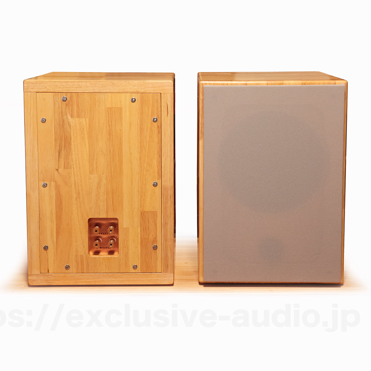 Astro Electronics Projekt ASTOR SP-2001WST Buchregal Lautsprecher 1 Paar