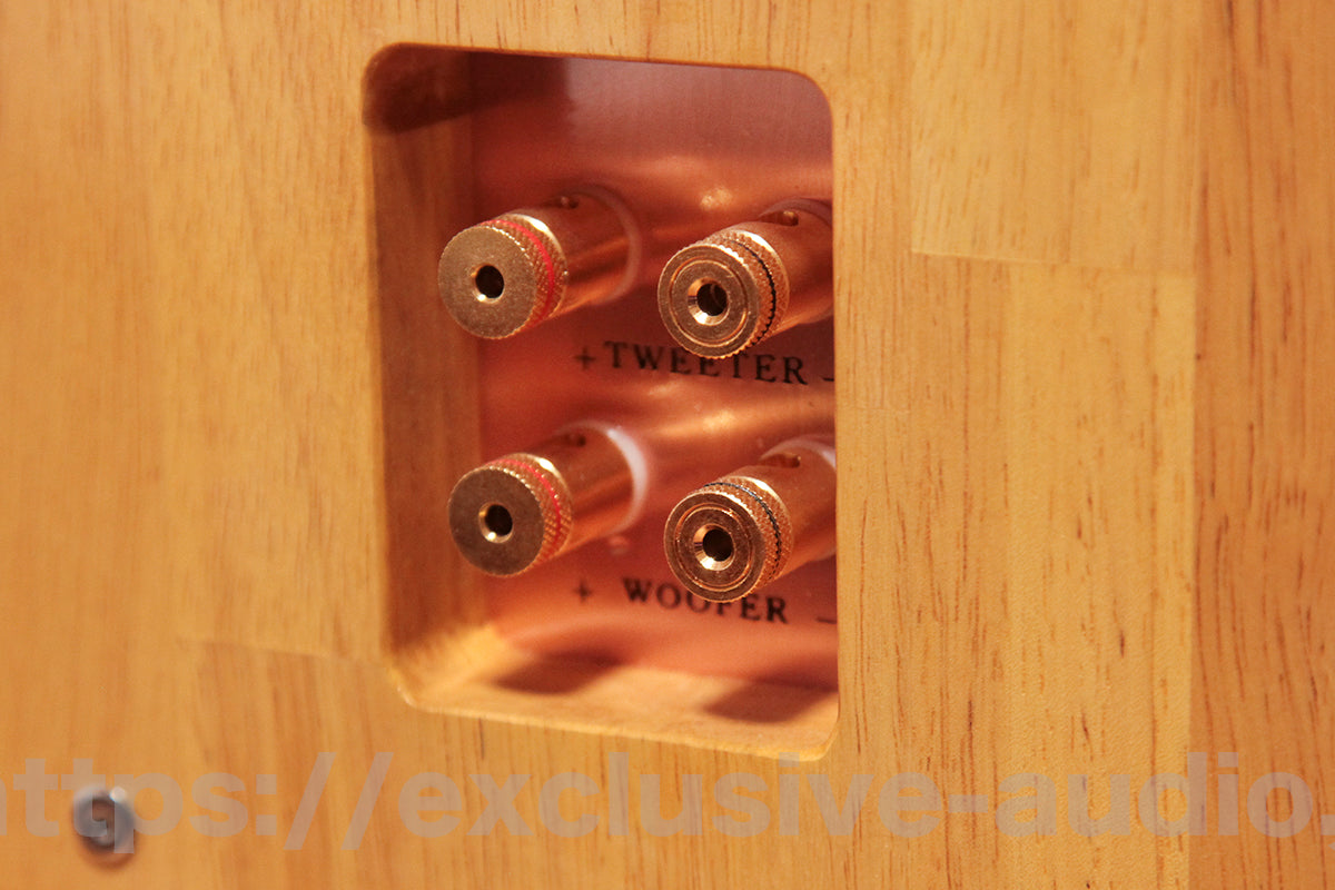 Astro Electronics Projekt ASTOR SP-2001WST Buchregal Lautsprecher 1 Paar