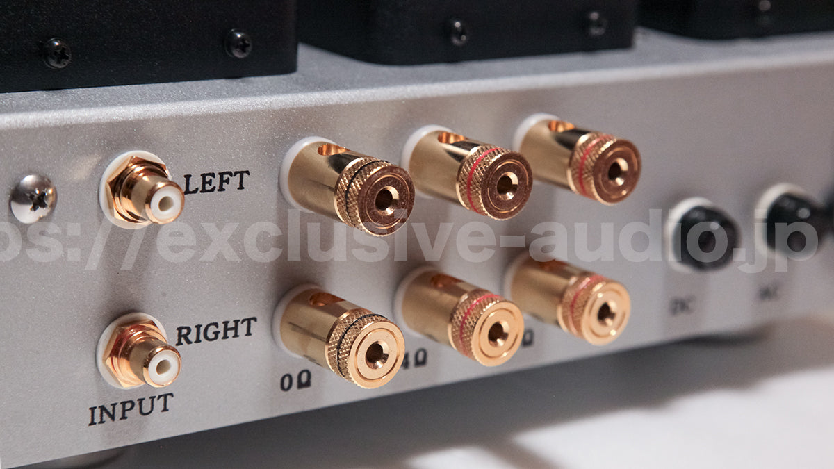 Astro Elektronik Planung AST-300BMg Vakuumröhren Stereo Single Power Amplifier