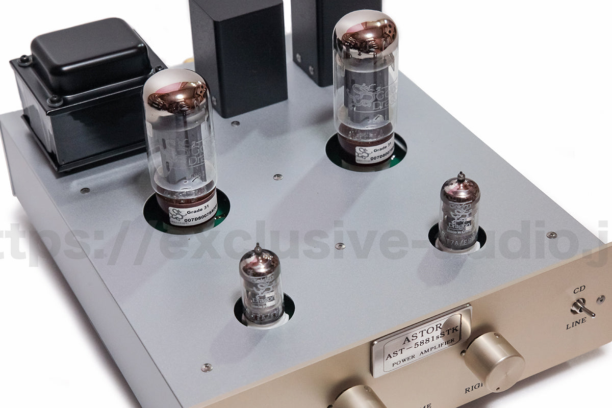 Astro Electronics Projekt AST-5881sSTK Vakuumröhren Stereo Single Power Amplifier