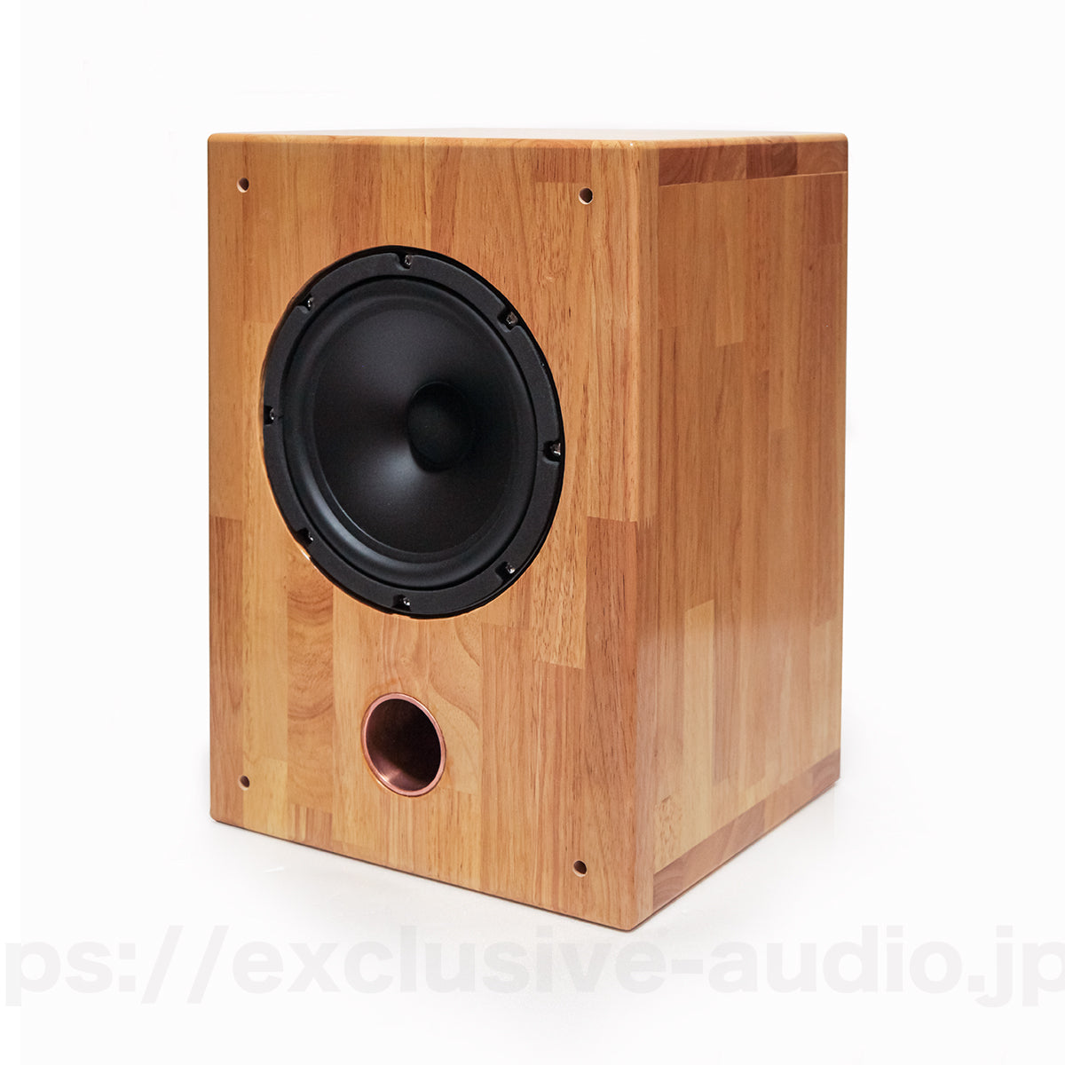 Astro Electronics Projekt ASTOR SP-2001WST Buchregal Lautsprecher 1 Paar