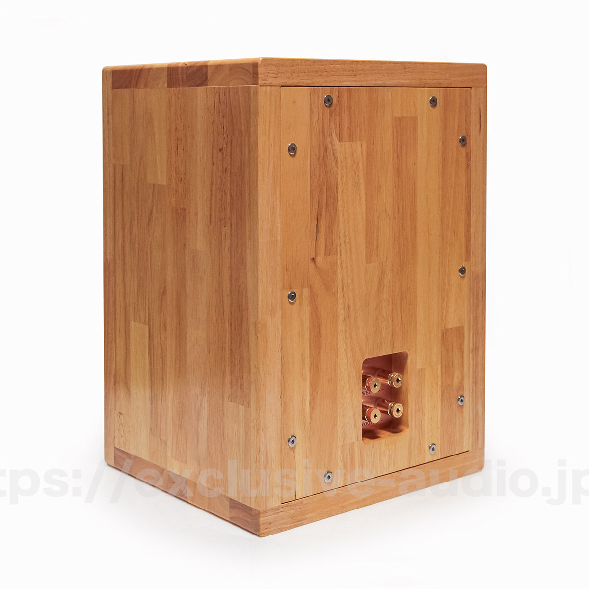 Astro Electronics Projekt ASTOR SP-2001WST Buchregal Lautsprecher 1 Paar