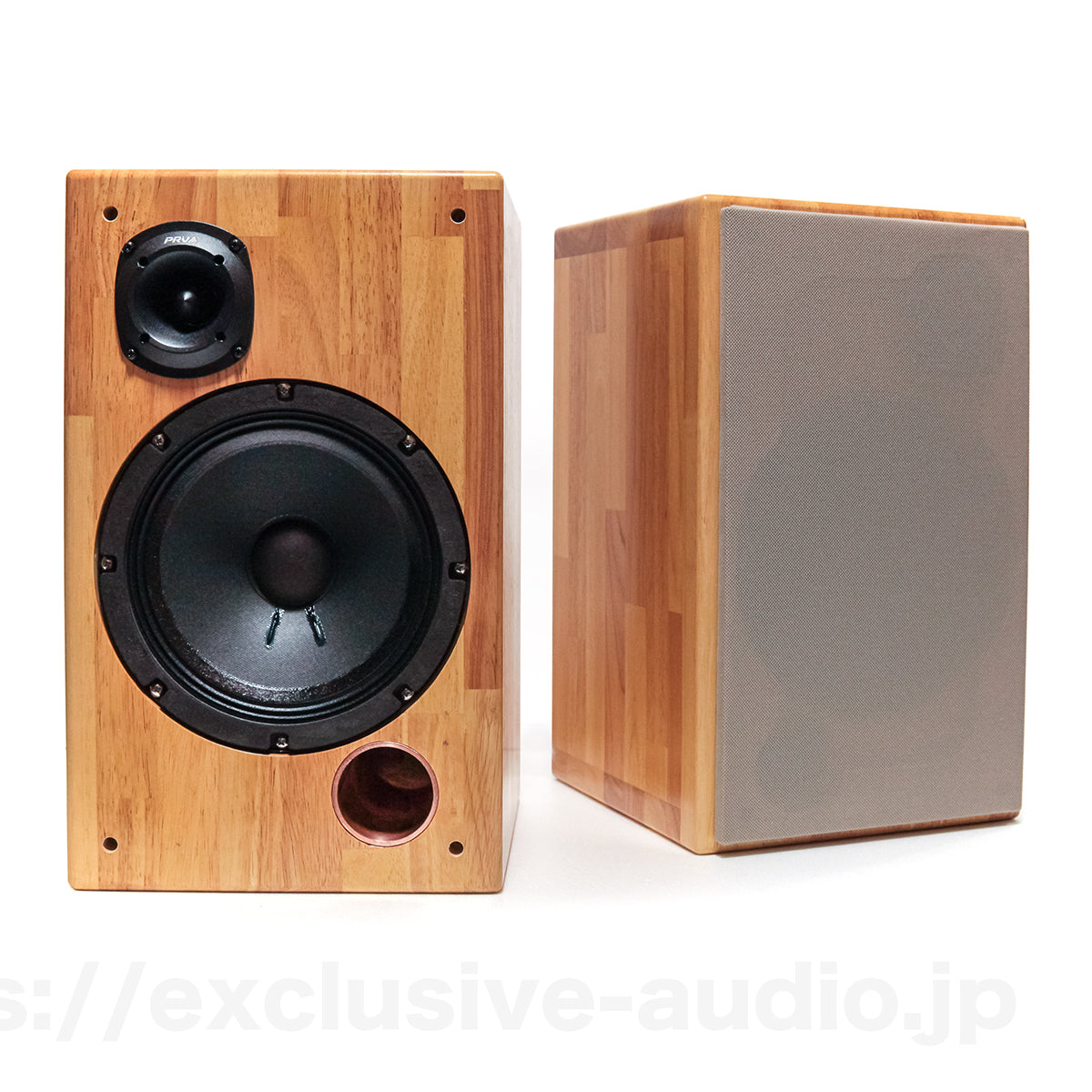 Astro Electronics SP-2000WST Regallautsprecher-Set