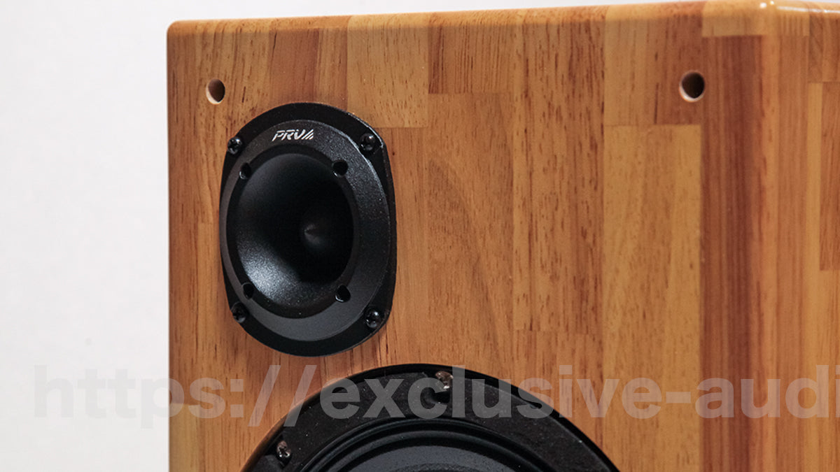 Astro Electronics SP-2000WST Regallautsprecher-Set