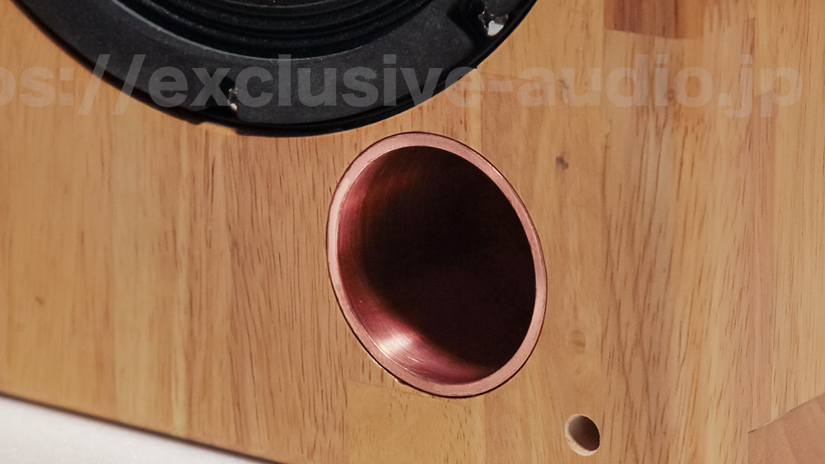 Astro Electronics SP-2000WST Regallautsprecher-Set