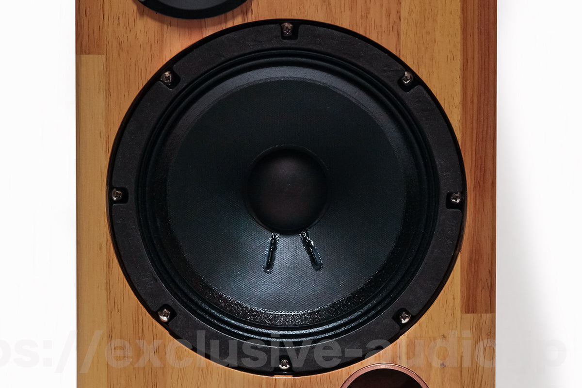 Astro Electronics SP-2000WST Regallautsprecher-Set