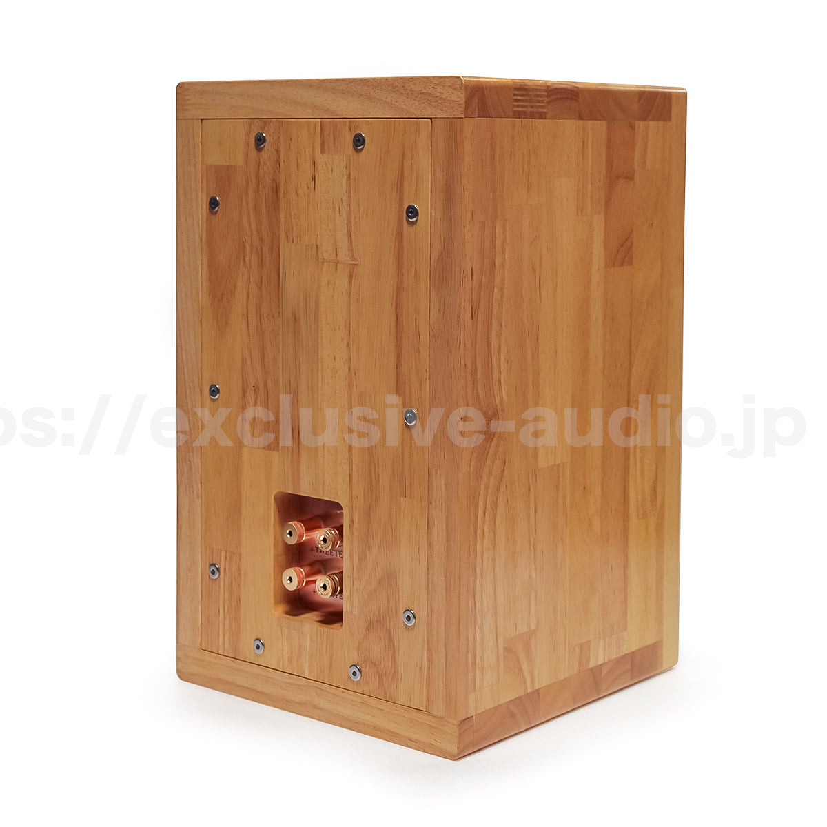 Astro Electronics SP-2000WST Regallautsprecher-Set