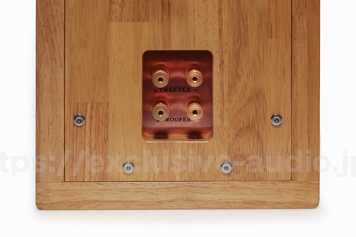 Astro Electronics SP-2000WST Regallautsprecher-Set