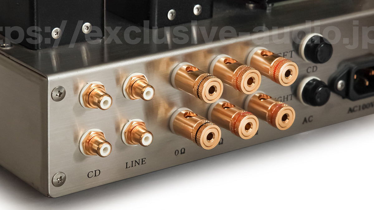 Astro Electronics Plan AST-6SN7 Röhren Stereo PP Leistungsverstärker