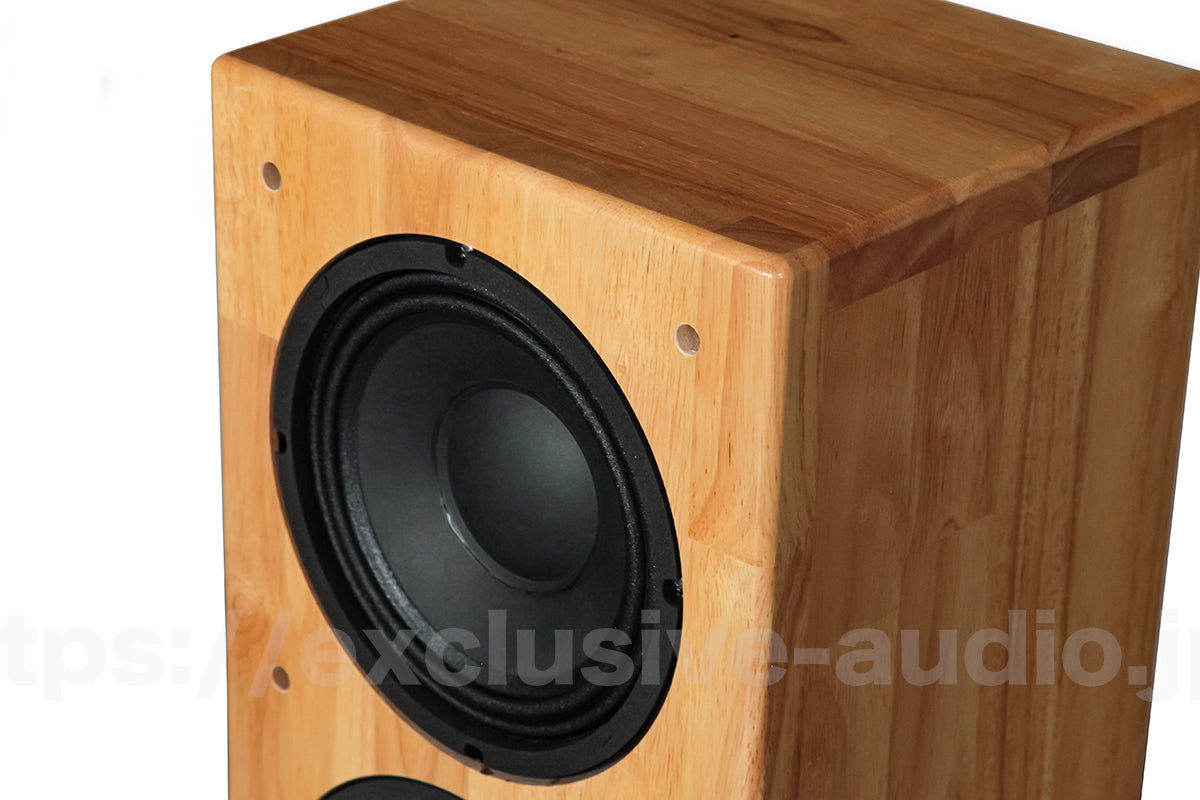 Astro Electronics Plan SP-1602WST Buchregal Lautsprecher 1 Paar