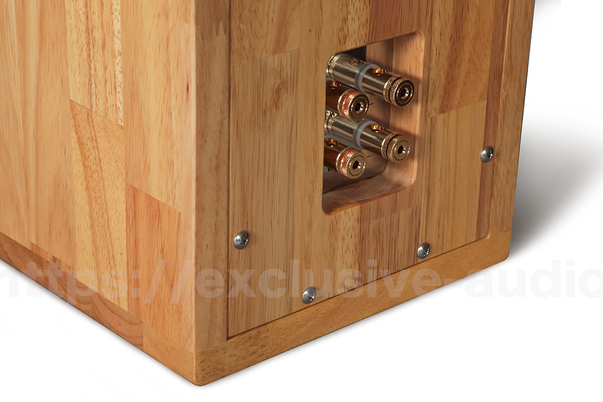 Astro Electronics Plan SP-1602WST Buchregal Lautsprecher 1 Paar