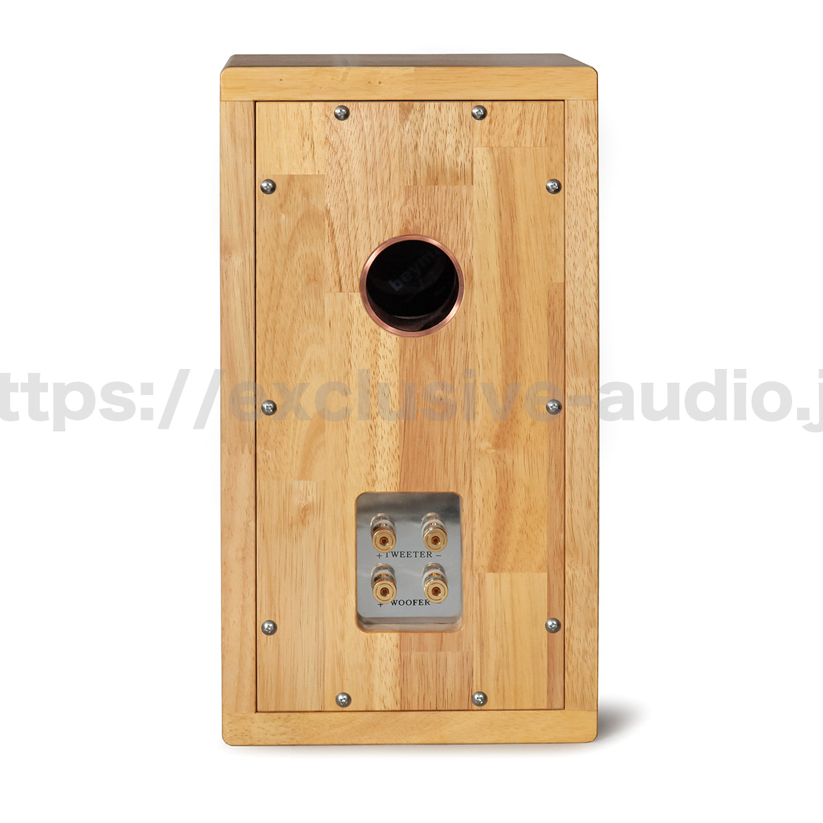 Astro Electronics Plan SP-1602WST Buchregal Lautsprecher 1 Paar