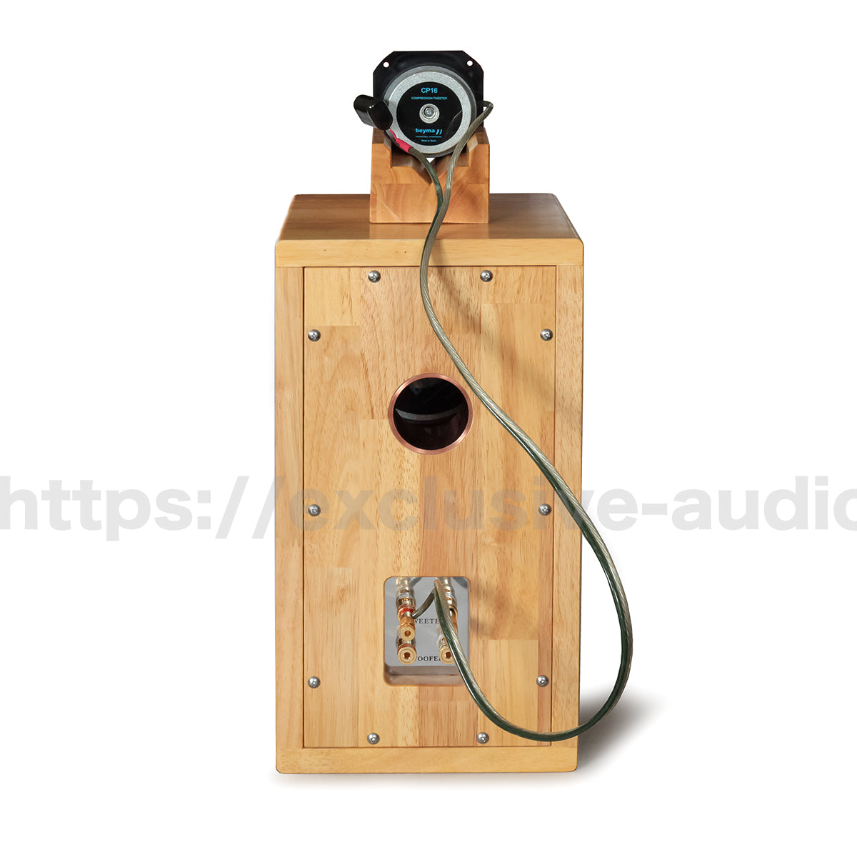 Astro Electronics Plan SP-1602WST Buchregal Lautsprecher 1 Paar