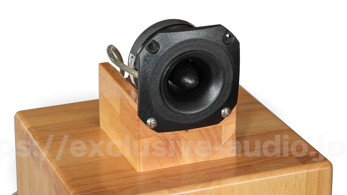 Astro Electronics Plan SP-1602WST Buchregal Lautsprecher 1 Paar