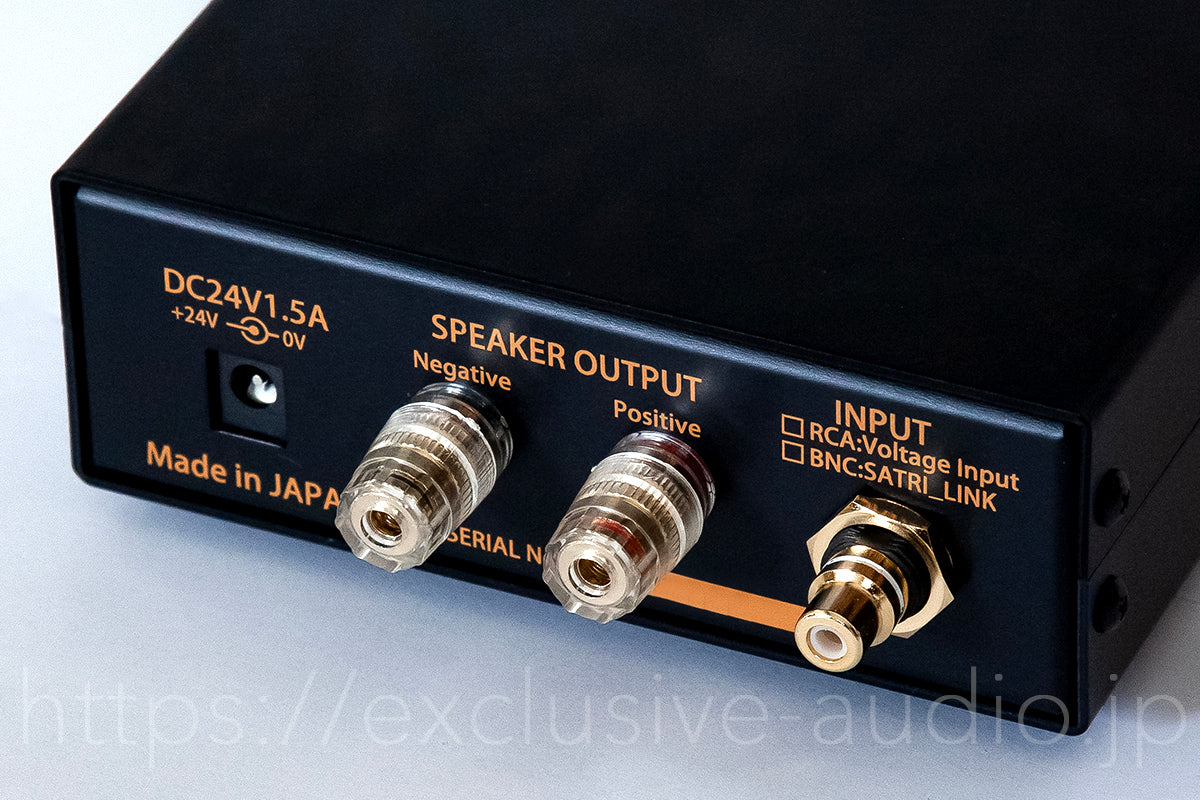 SCL CAP-1001M by Bakoon Products Small Mono Power Amplifier