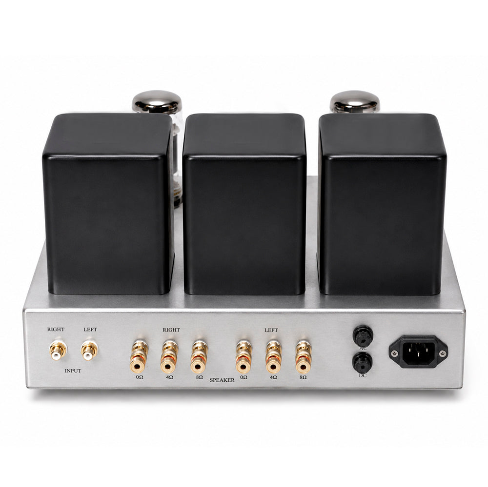 Astro Elektronikprojekt AST-KT88sRXMg KT88 Vakuumröhren-Stereoendverstärker
