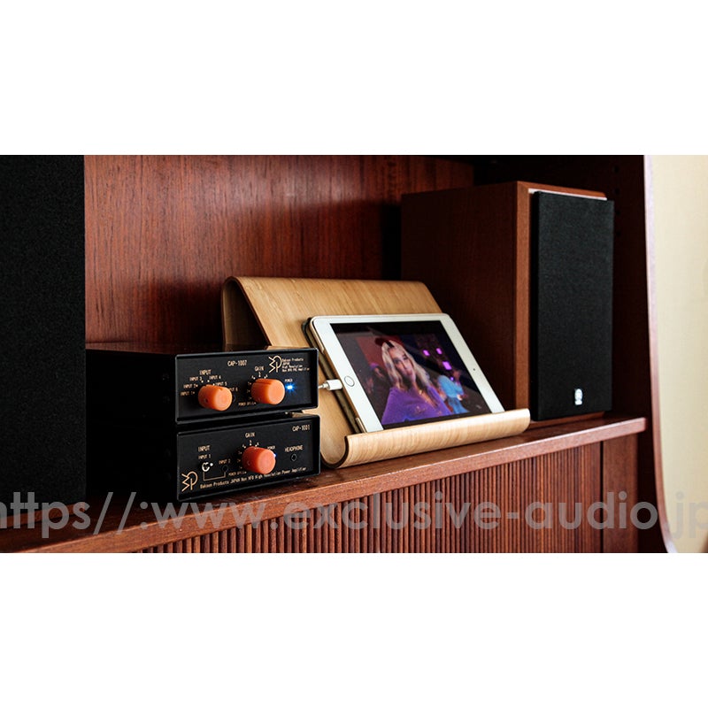 Bakoon Products SCL CAP-1001 Small Power Amplifier