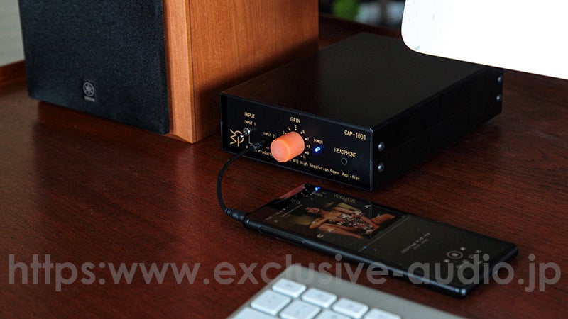 Bakoon Products SCL CAP-1001 Small Power Amplifier