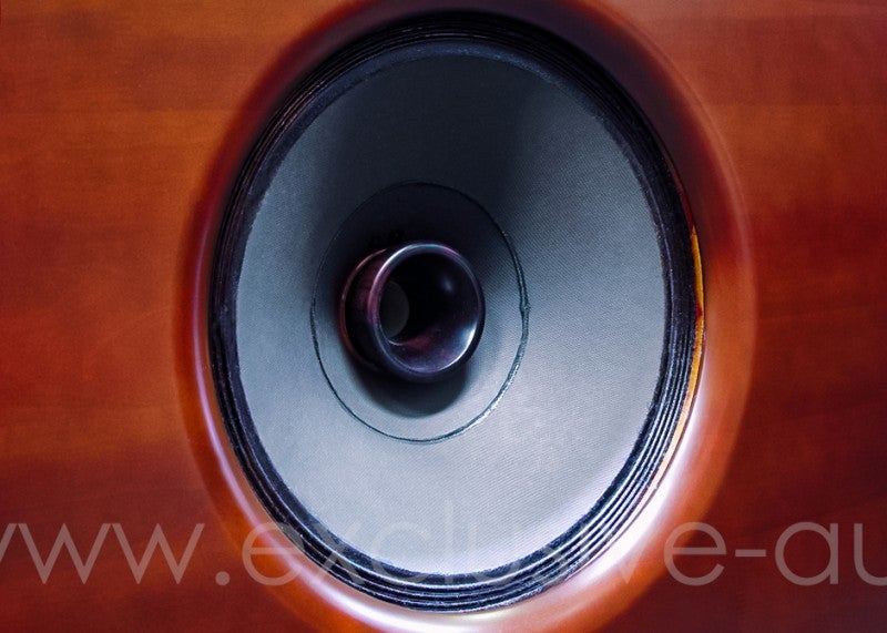 Yamamoto Acoustics YS-605P 38cm flat baffle speaker 1 unit