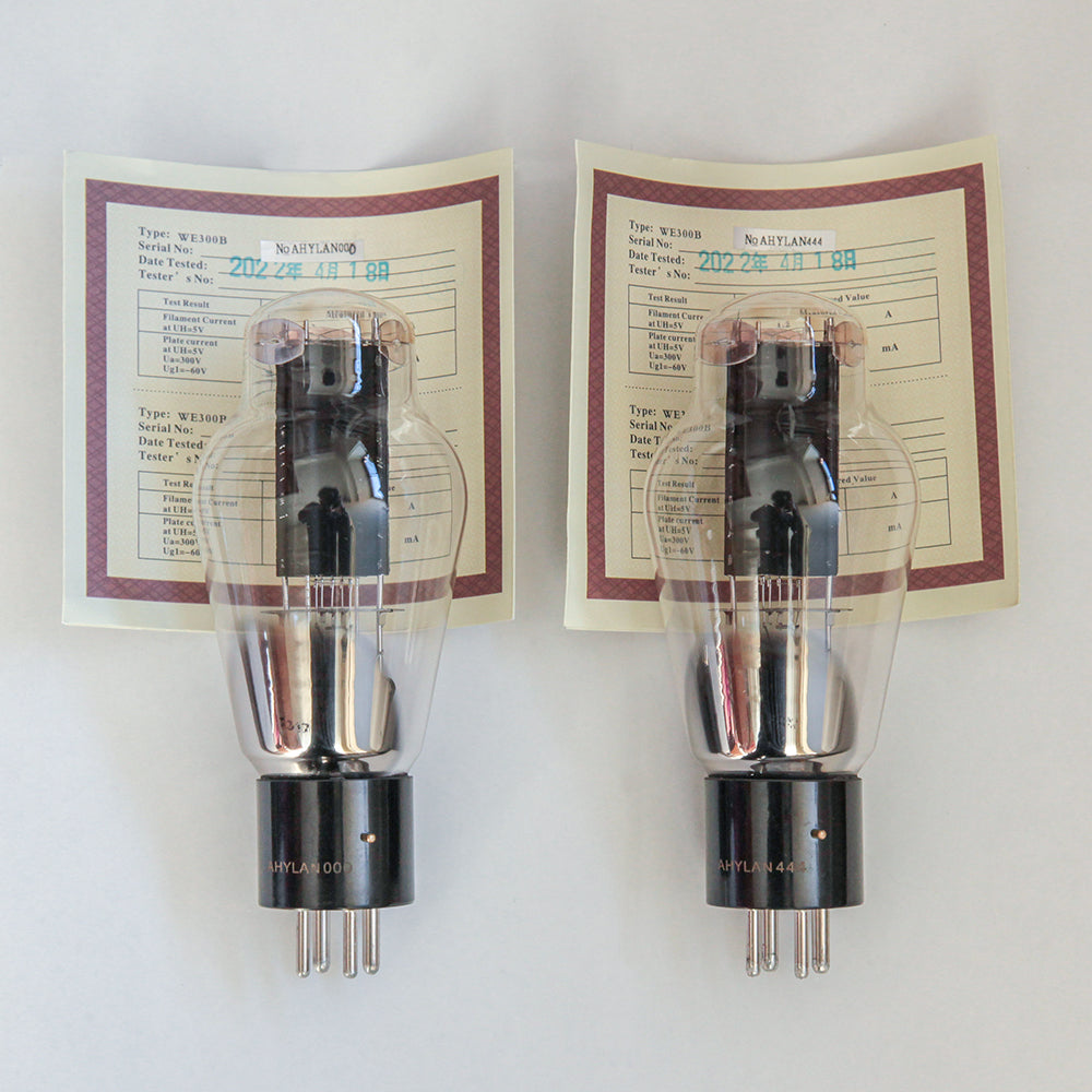 PSVANE WE300B Pair of 2 tubes