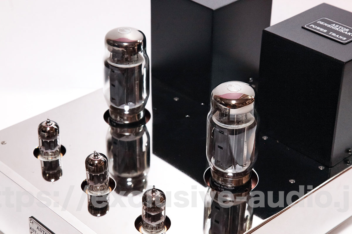 Astro Elektronik Planung AST-KT88MVIP Monoblock-Leistungsverstärker