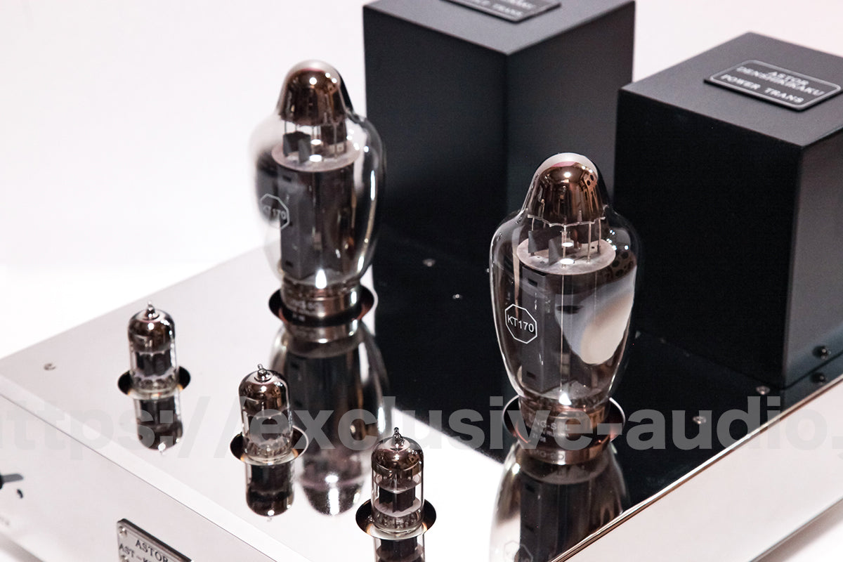 Astro Elektronik Planung AST-KT88MVIP Monoblock-Leistungsverstärker
