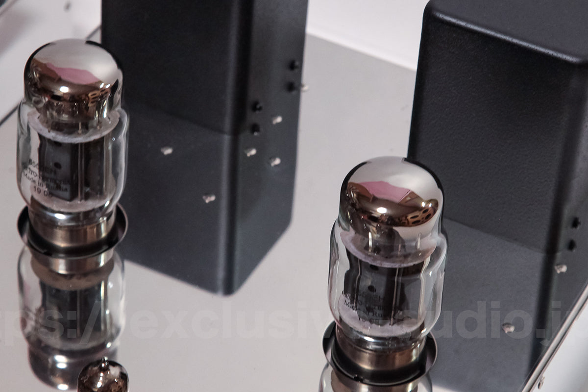 Astro Elektronik Planung AST-KT88MVIPSP Monoblock-Leistungsverstärker