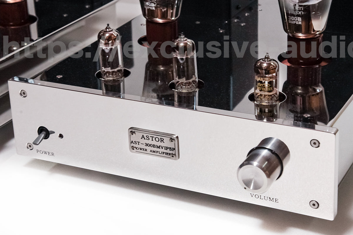 Astro Electronic Planning AST-300BMVIP/SP Monaural Power Amplifier