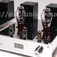 Astro Electronic Planning AST-300BMVIP/SP Monaural Power Amplifier
