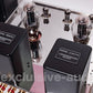 Astro Electronic Planning AST-300BMVIP/SP Amplificateur de puissance monaural