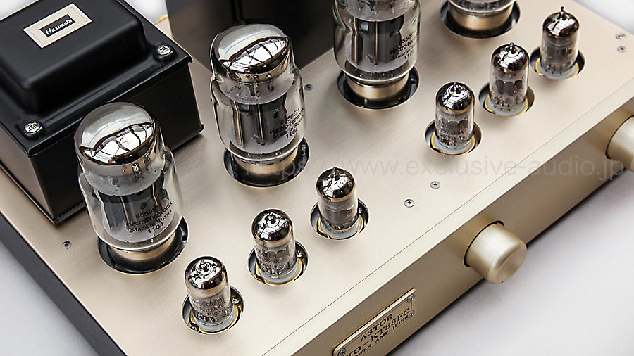 ASTOR Electronic Planning Amplificador de potencia push-pull a válvulas de vacío TO-6550FC